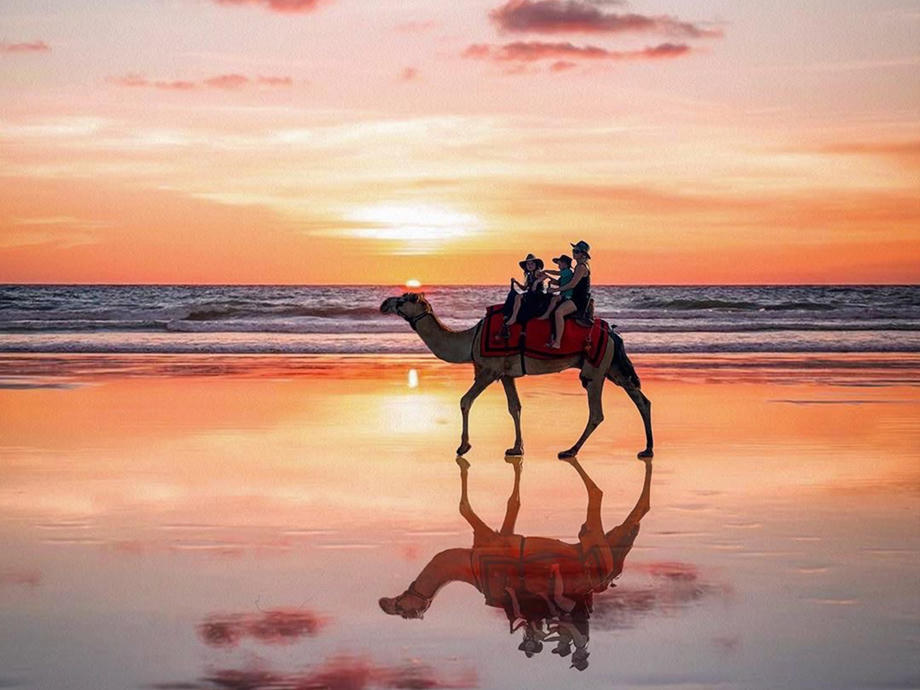 Wie wäre es mit einem Kamelritt am Strand, für welche Broome bekannt ist? Kamel Broome, Kamelritt buchen Broome, Broome Camper