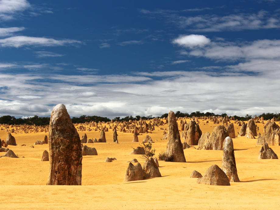 Die Kalksteine sind Rückstände von Muscheln und nach dem Zurückgehen des Meeres durch den Wind freigelegt worden. Pinnacles Dessert, Pinnacles Westküste Australien, Pinnacles Cervantes