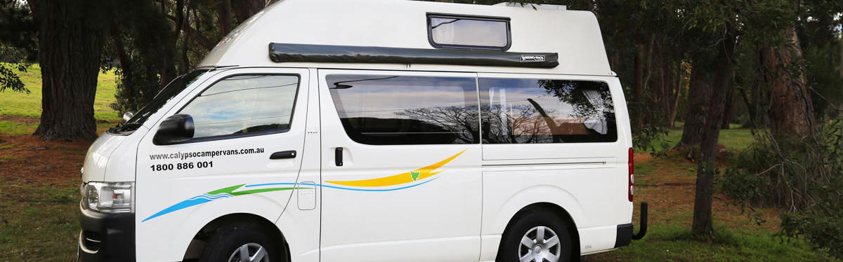 Camper vor Wald stehend