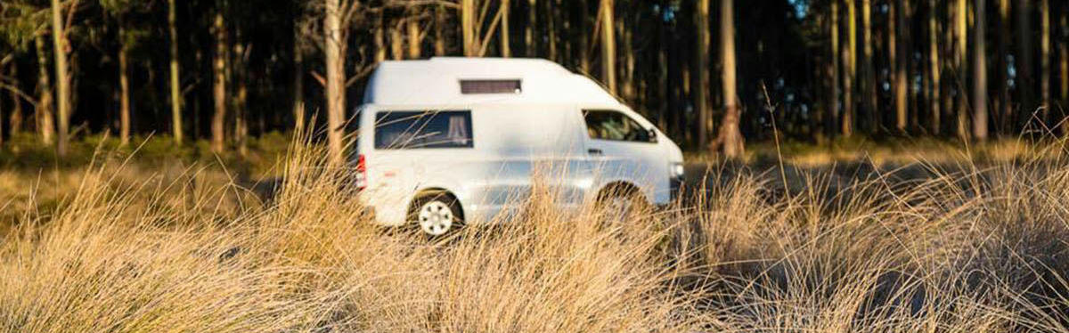 2 Bett Hitop von GoCheap Campervans hinter Gebüsch vor Wald in Australien