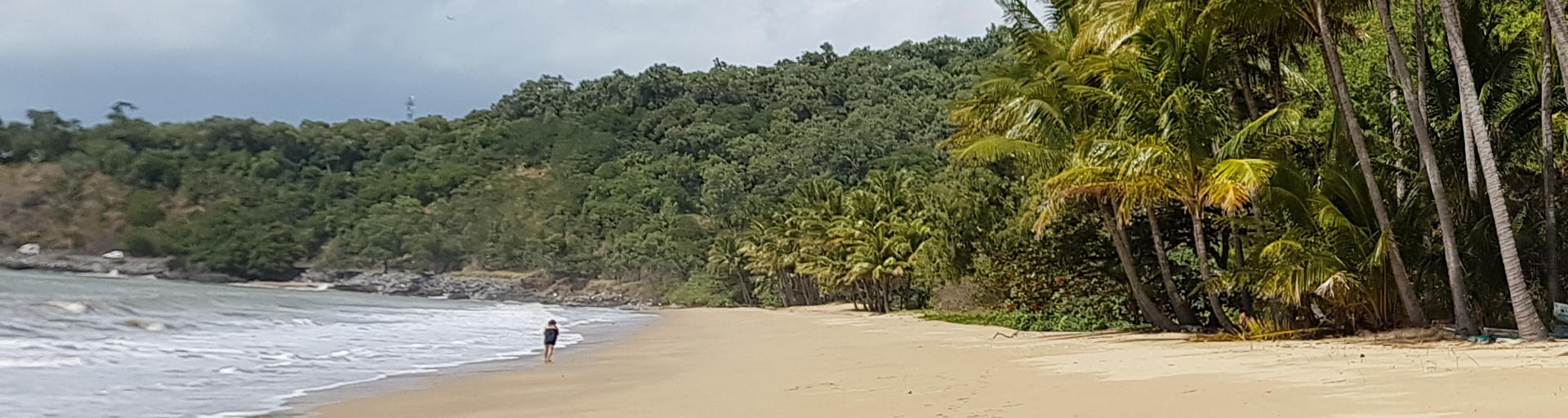 Wohnmobile am Strand unter Palmen beim Australienurlaub