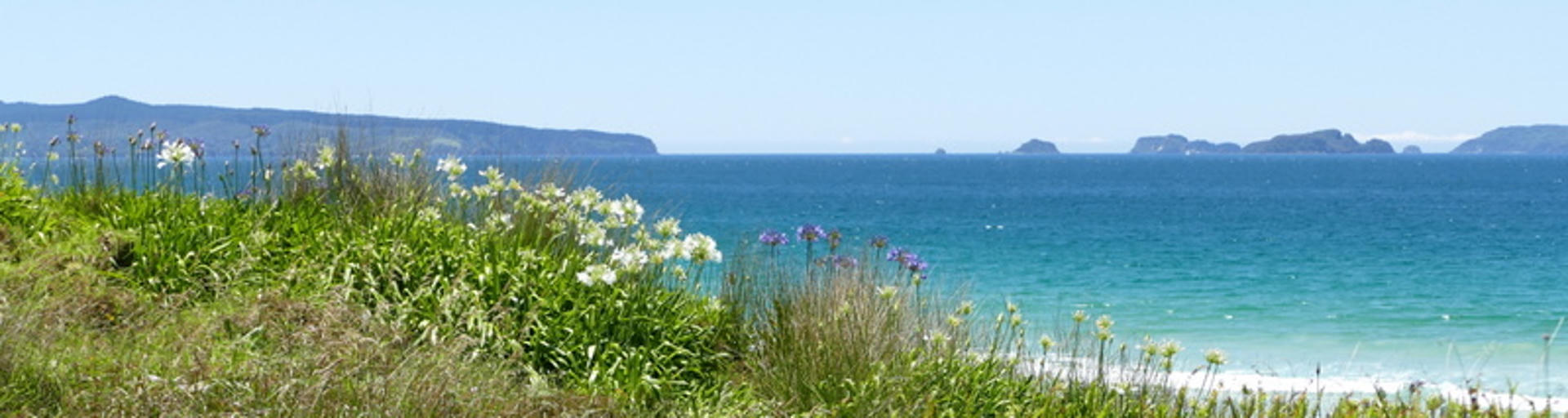 opito bay, panorama coromandel, coromandel highlights, rundreise wohnmobil neuseeland