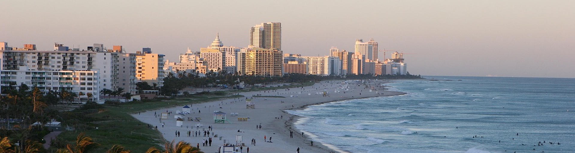 Skyline von Miami mit Palmen davor