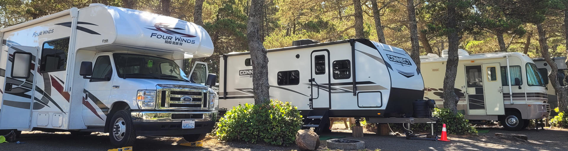 Auf einem schattigen Campingplatz in den USA stehen verschiedene Wohnmobile
