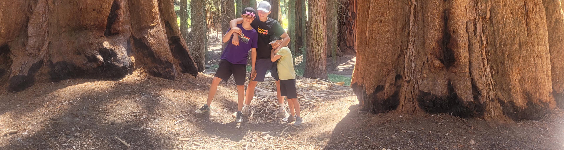 Drei Kinder stehen im Sequoia National Park bei einer Rundreise durch die USA