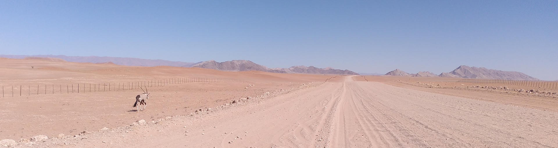 Wüstenlandschaft in Namibia
