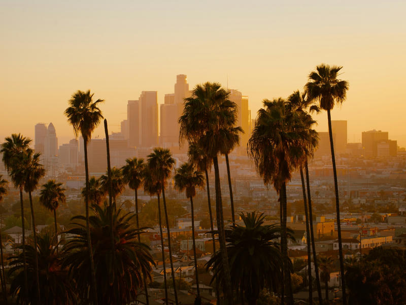 Skyline mit Palmen