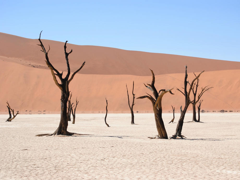Landschaft in Namibia