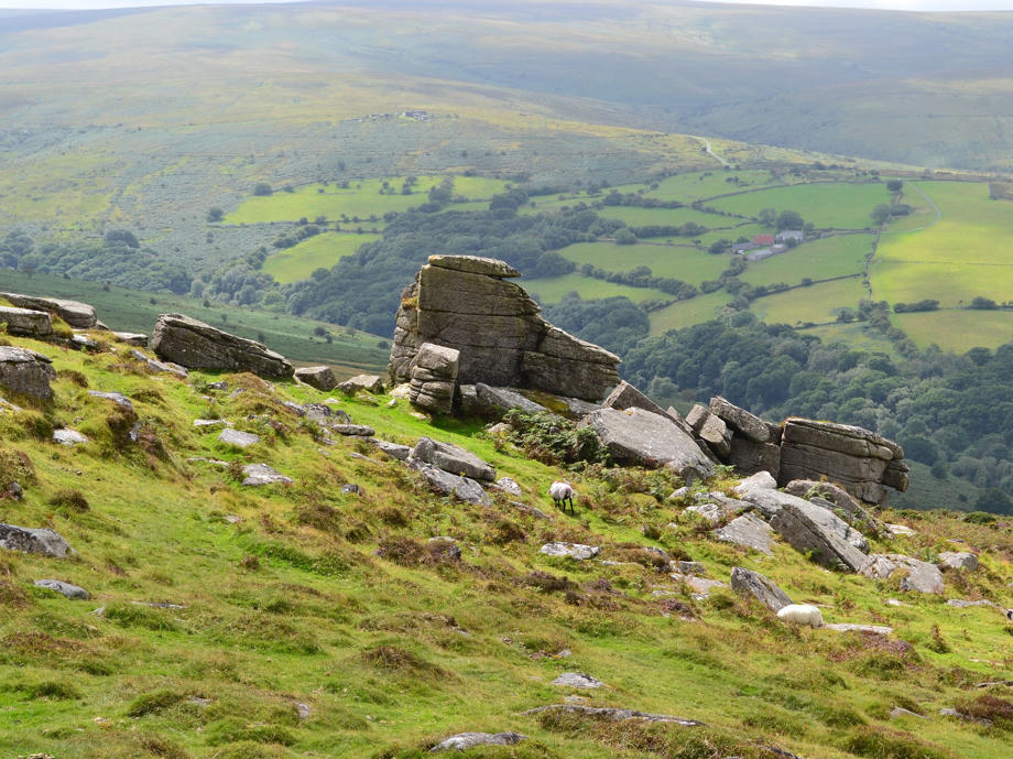 Im Dartmoor Nationalpark könnt ihr wild campen. Dartmoor Nationalpark, Dartmoor Camping, Camping in England