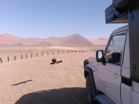 4WD Camper im Sossusvlei