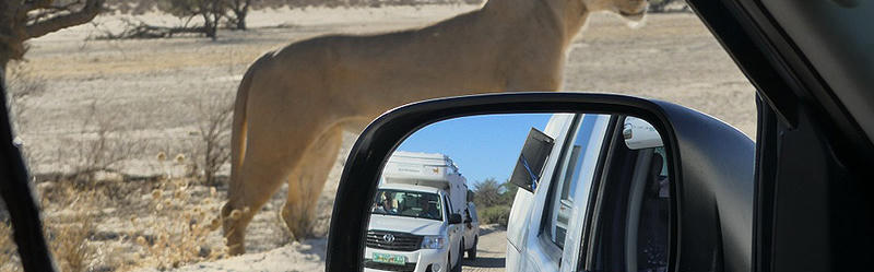 Der Toyota Hilux DC 2.4L von Africa on Wheels in Namibia