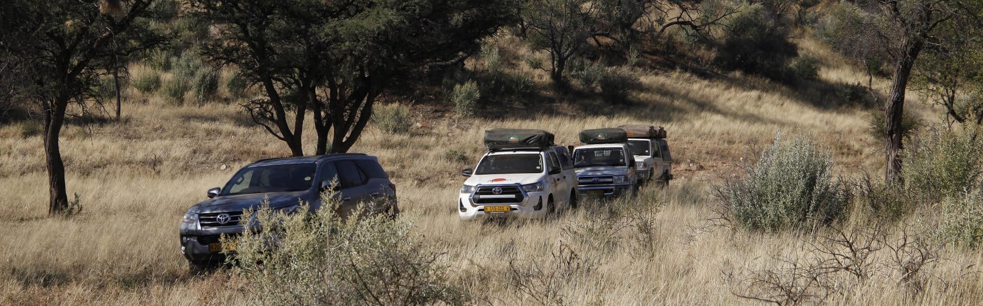 Mehrere AfriCar Car Hire Fahrzeuge in Namibia