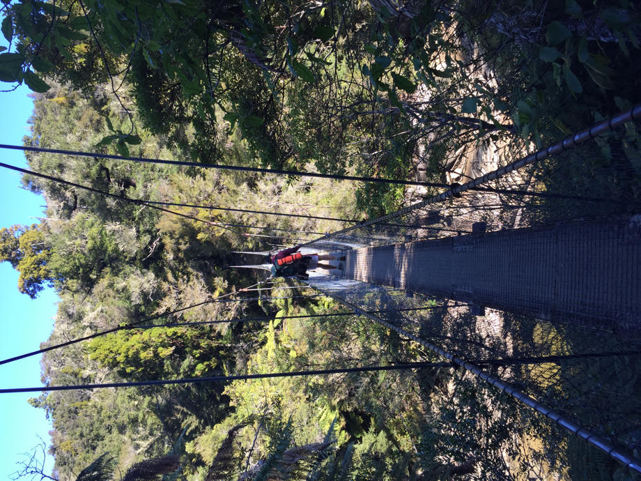 Der Weg ist sehr gut ausgebaut und führt euch über viele Hängebrücken. Abel Tasman Nationalpark, Nelson, Wandern Neuseeland, Hängebrücke