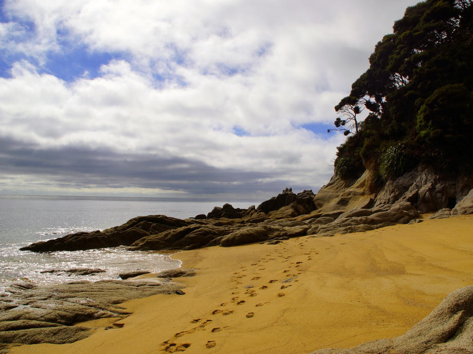 Der Abel Tasman Coastal Track führt euch teilweise direkt am Strand durch den Sand entlang. Abel Tasman Coastal Track, Neuseeland, Wandern, Hiking