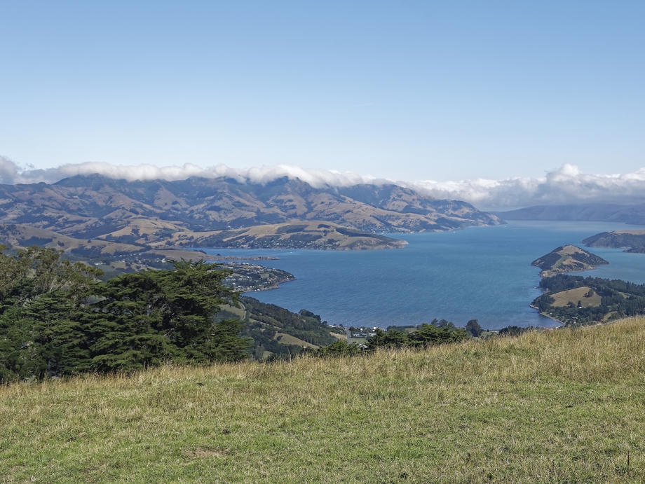 Akaroa Peninsula, Christchurch Peninsula, Wiesen, Hügel, Neuseeland