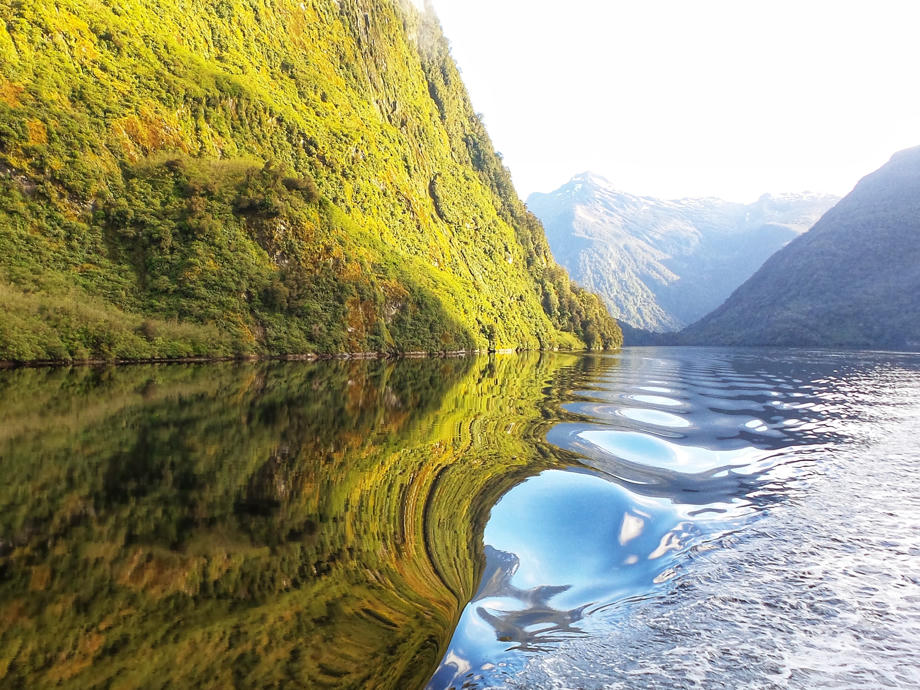 Im Doubtful Sound habt gute Chancen Delfine auf einer Bootsfahrt zu entdecken. Doubtful Sound, Te Anau, Manapouri, Southland, Fiordland, Neuseeland