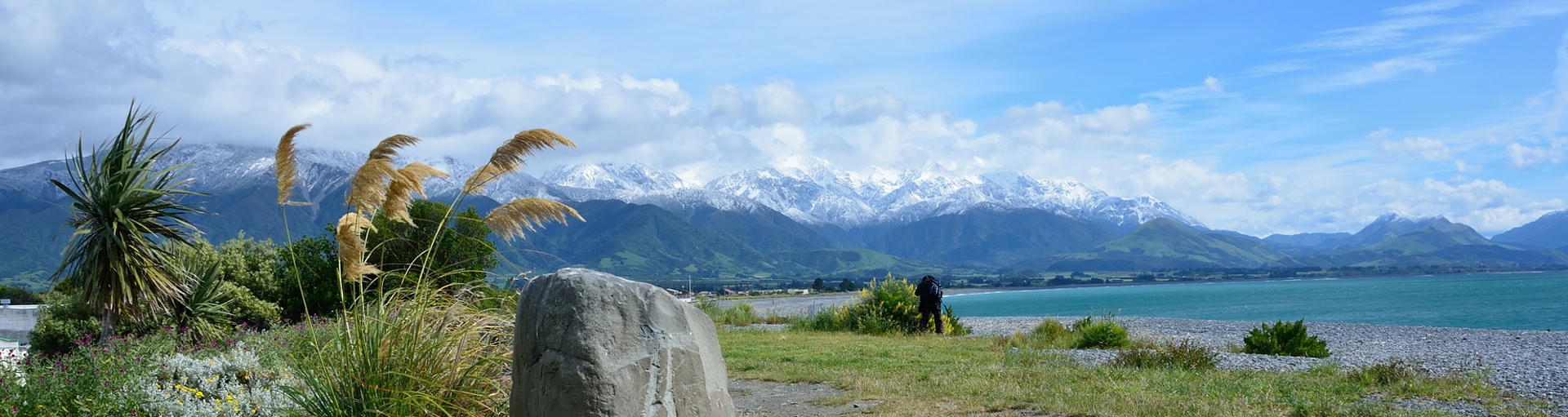 neuseeland südinsel highlights, kaikoura neuseeland, kaikoura whalewatching