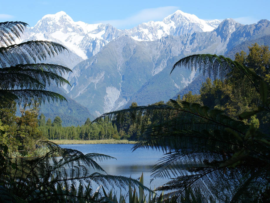Der Lake Matheson bietet eines DER Fotomotive der Westküste. Lake Mathison, Westcoast New Zealand