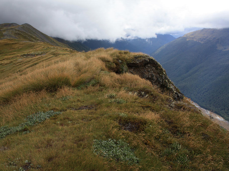 Der Lewis Pass führt euch von Nelson durchs Inland Richtung Christchurch. Lewis Pass, Nebel, Bergkette, Neuseeland, Camperreise