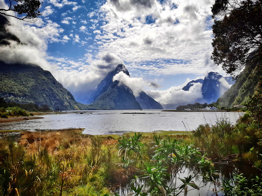Den Milford Sound erkundet ihr am besten mit einer Bootstour, welche ihr euch in Te Anau bucht. Milford Sound, See, Wolken, Te Anau, Bootstour