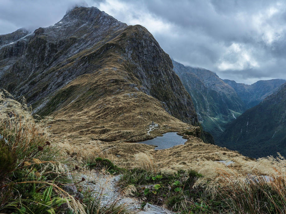 Der Milford Track führt euch von Te Anau in 3-5 Tagen durch den Nationalpark bis zum Startpunkt der Bootstouren. Milford Track, Milford Sound, Fiordland, Great Walks, Hiking Neuseeland
