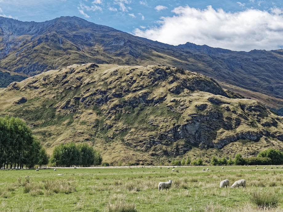 Den Mount Aspiring Nationalpark entdecken Mount Aspiring, Matukituki Valley, Rob Roy Glacier