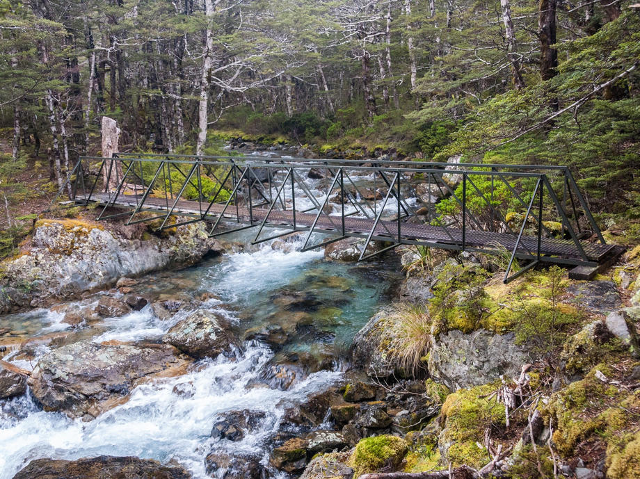 Durch den Nelson Lakes Nationalpark schlängeln sich viele schnelle Gewässer durch dichten Wald. Gorge, Fluss, Bach, Brücke, Birkenwald, Neuseeland