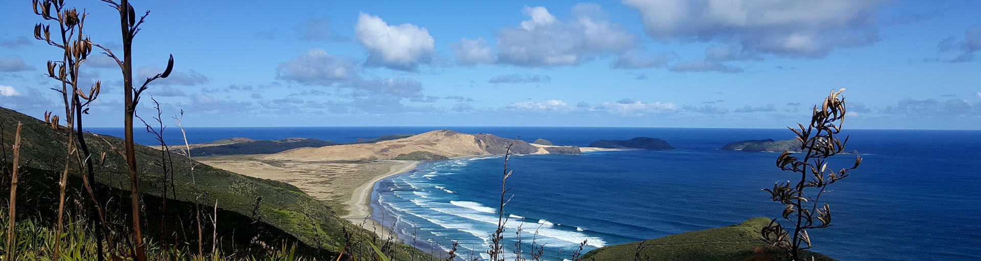 cape reinga, cape reinga strand, northland neuseeland