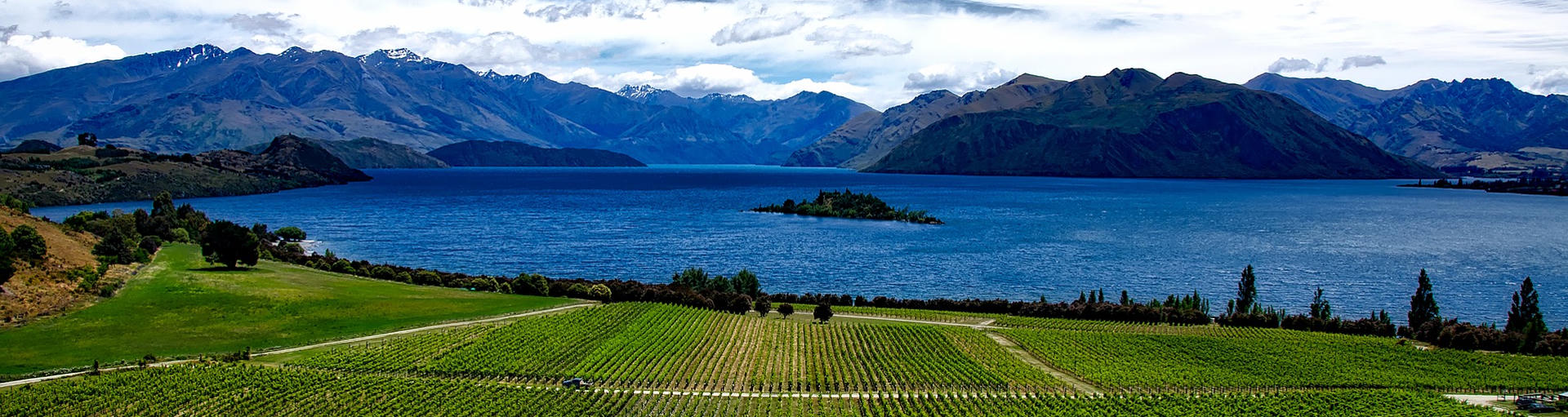 neuseeland wein, weingut queenstown, queenstown neuseeland sehenswürdigkeiten, wanaka sehenswürdigkeiten