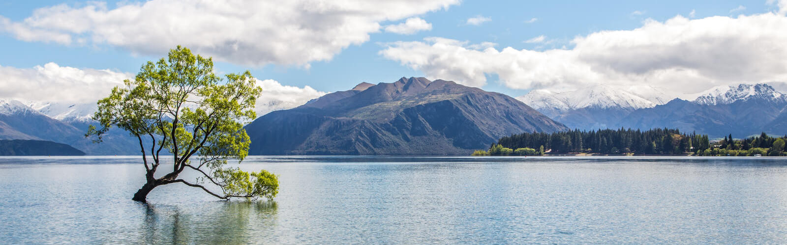 Blick auf einen See in Neuseeland