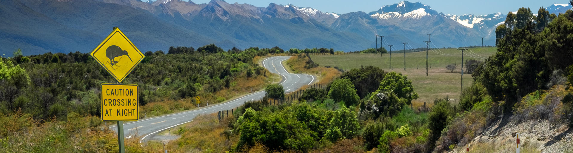 Eine Staße auf der Rundreise durch Neuseeland