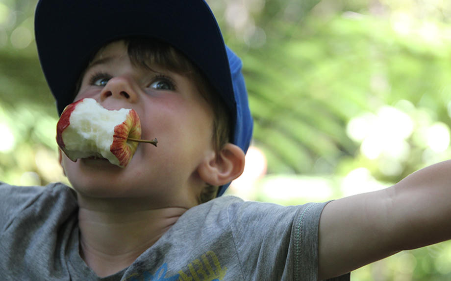 Reisen mit Kindern will gut vorbereitet sein