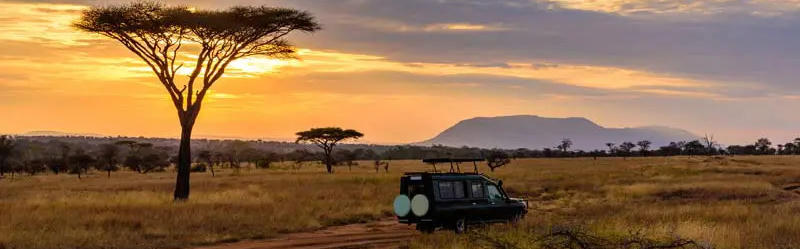 Camper von Happy Campers in einer Landschaft geprkt in Südafrika