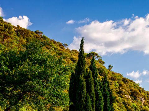 Ein lila Lavendelfeld vor einer historischen Burg in Frankreich