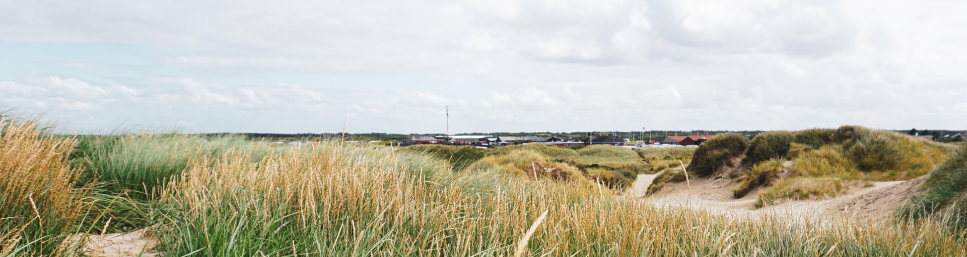 Dünen und Strand in Dänemark Wohnmobilurlaub